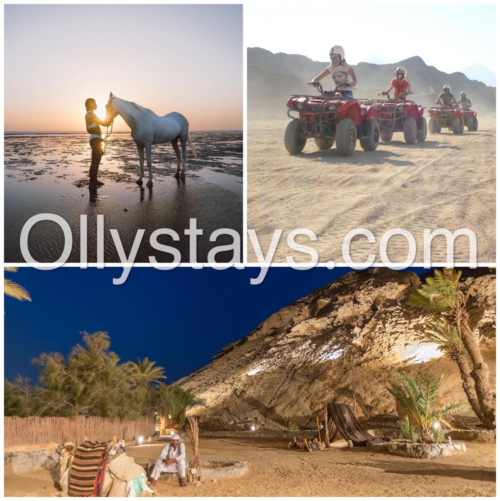 Ollystays Mangroovy 1 Bedroom Beach And Pool Free Access Hurghada Zewnętrze zdjęcie